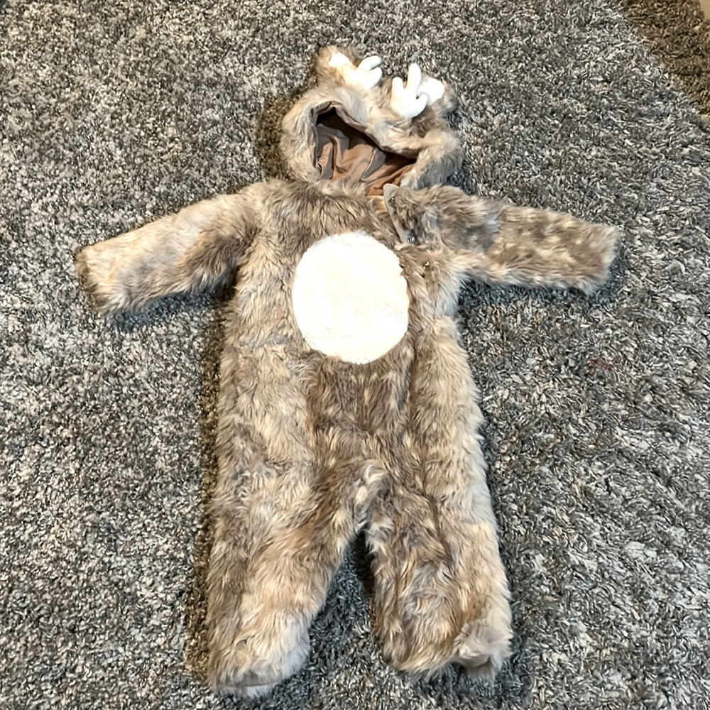 Pottery barn costume